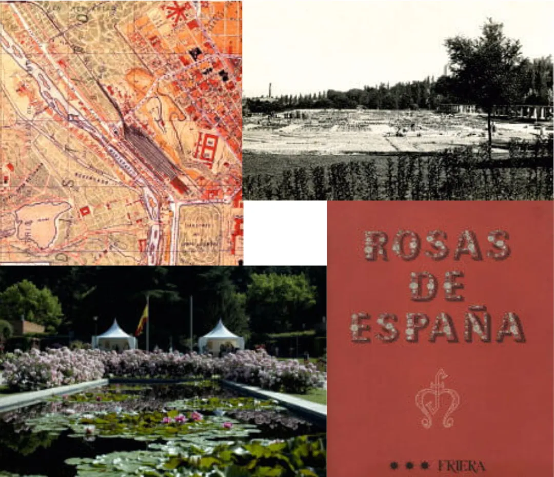 Foto histórica de la planificación del jardín